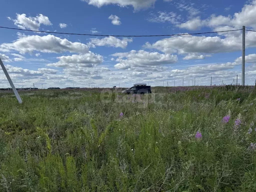 Участок в Тюменская область, Тюменский муниципальный округ, д. Большие ... - Фото 1