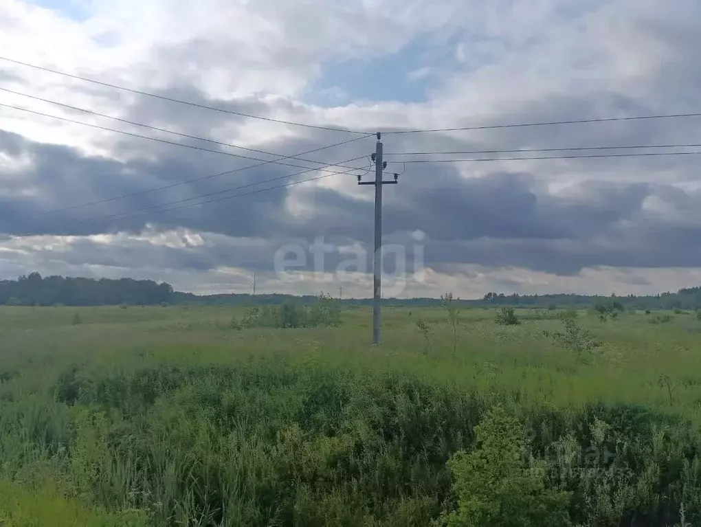 Участок в Владимирская область, Петушинский муниципальный округ, д. ... - Фото 2