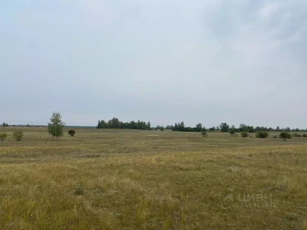 Участок в Саха (Якутия), Якутск городской округ, с. Хатассы  (300.0 ... - Фото 0