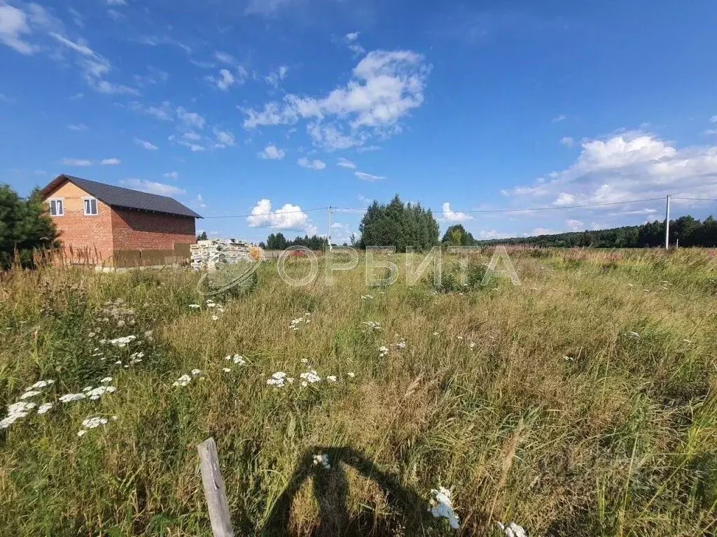 Участок в Тюменская область, Тюменский муниципальный округ, Серебряный ... - Фото 1
