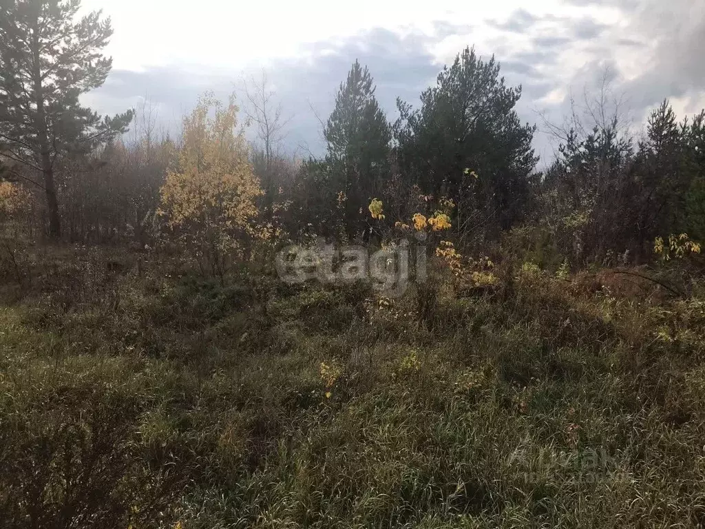 Участок в Свердловская область, Талица ул. Луначарского (1249.0 сот.) - Фото 1