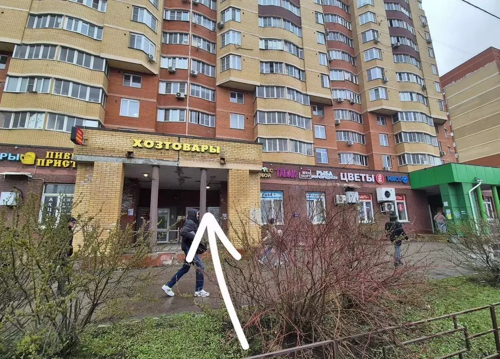 Помещение свободного назначения в Московская область, Щелково ул. ... - Фото 2