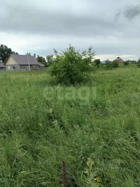 Участок в Алтай, Майминский район, с. Подгорное ул. Луговая, 53 (14.0 ... - Фото 1