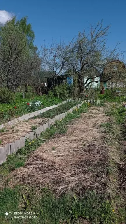 Дом в Новгородская область, Старая Русса  (12 м) - Фото 2