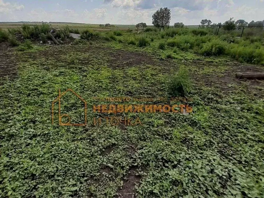 Дом в Башкортостан, Дюртюлинский район, Старобаишевский сельсовет, с. ... - Фото 0