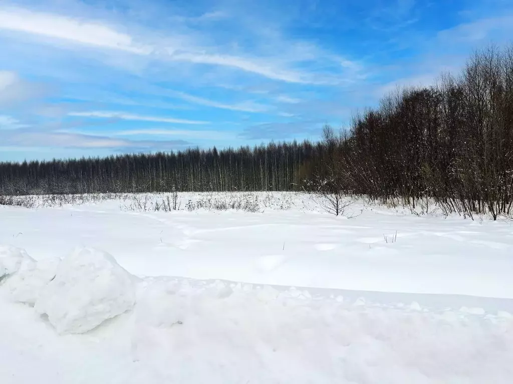 Участок в Московская область, Раменский муниципальный округ, Оттепель ... - Фото 2