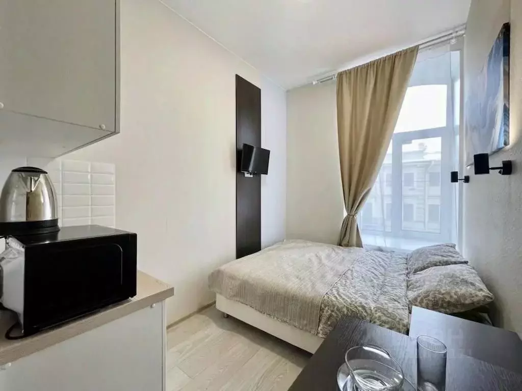 1-к кв. Санкт-Петербург Литейный просп., 61 (18.0 м) - Фото 2