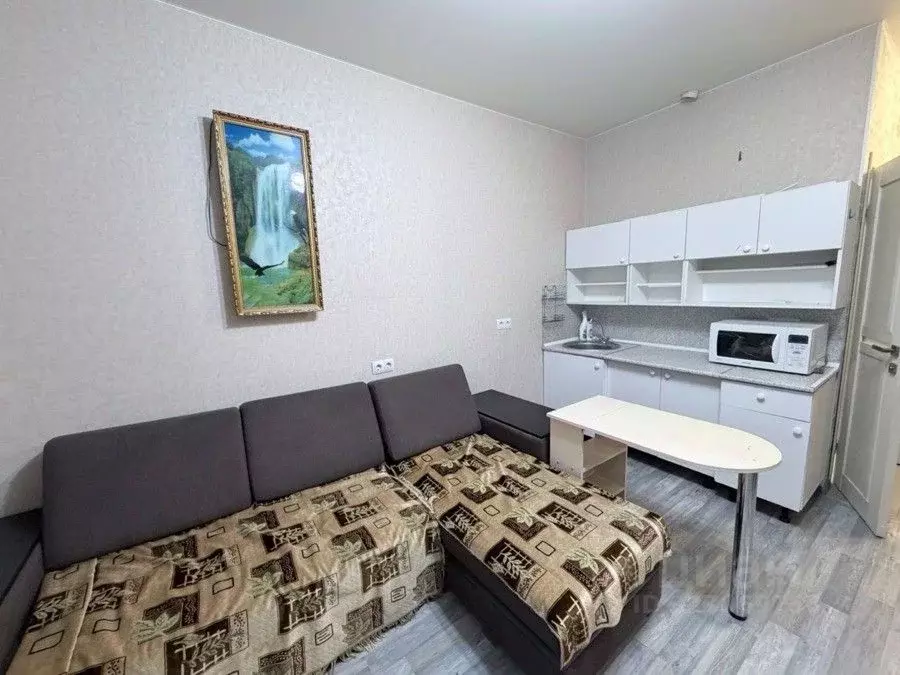 Студия Краснодарский край, Сочи городской округ, Дагомыс пгт ул. ... - Фото 2