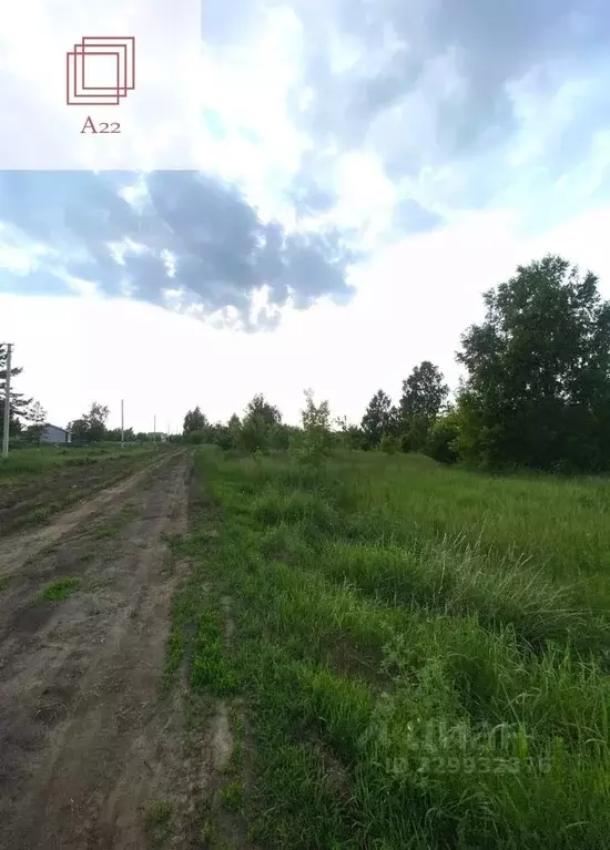 Участок в Алтайский край, Барнаул городской округ, пос. Бельмесево ул. ... - Фото 2