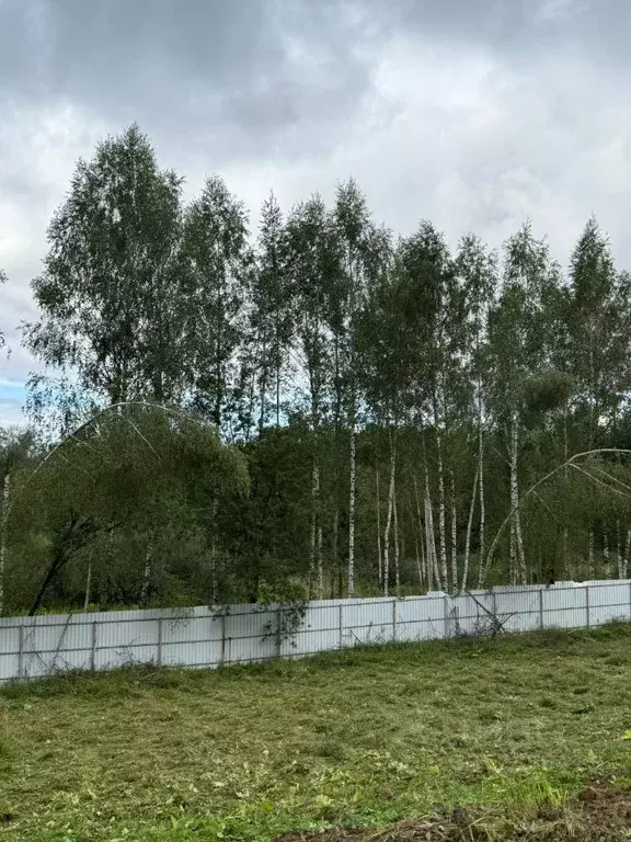 Участок в Московская область, Дмитровский муниципальный округ, д. ... - Фото 1