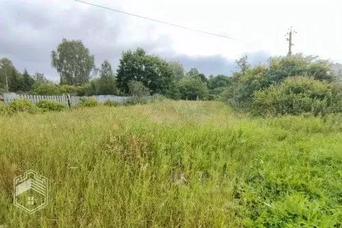 Участок в Новгородская область, Новгородский район, Савинское с/пос, ... - Фото 1