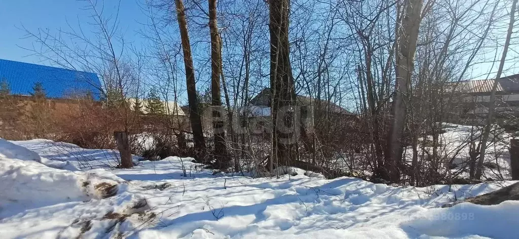 Участок в Вологодская область, Шексна рп, Шексна Северная мкр ул. ... - Фото 1