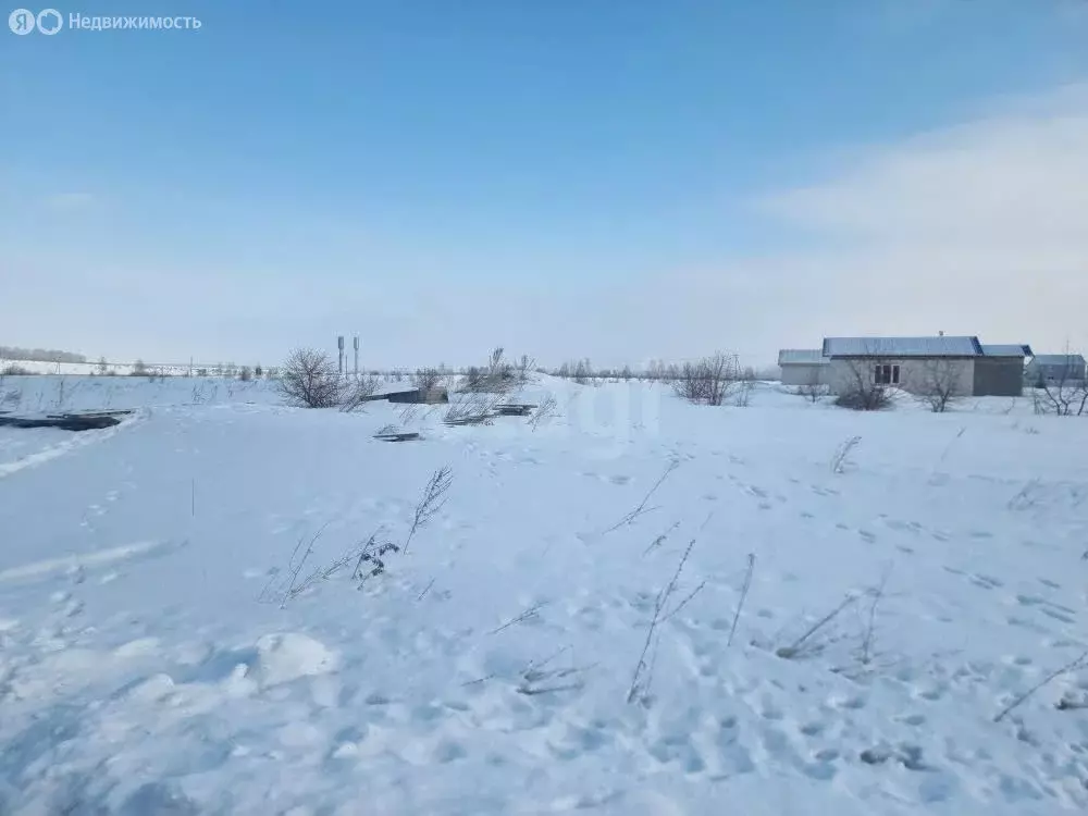 Участок в Майминский район, село Подгорное, Магистральная улица (14.5 ... - Фото 1