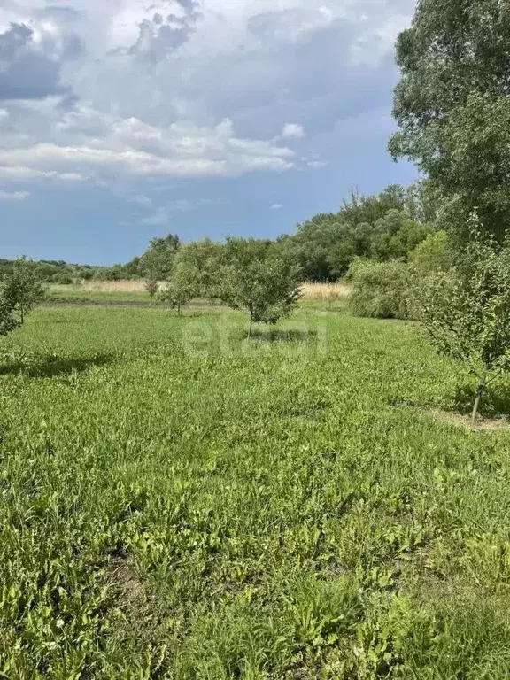 Участок в Белгородская область, Алексеевский городской округ, с. ... - Фото 1