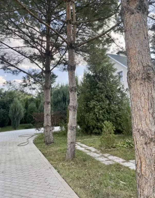 Дом в Пензенская область, Мокшан рп ул. Строителей, 21 (254 м) - Фото 0