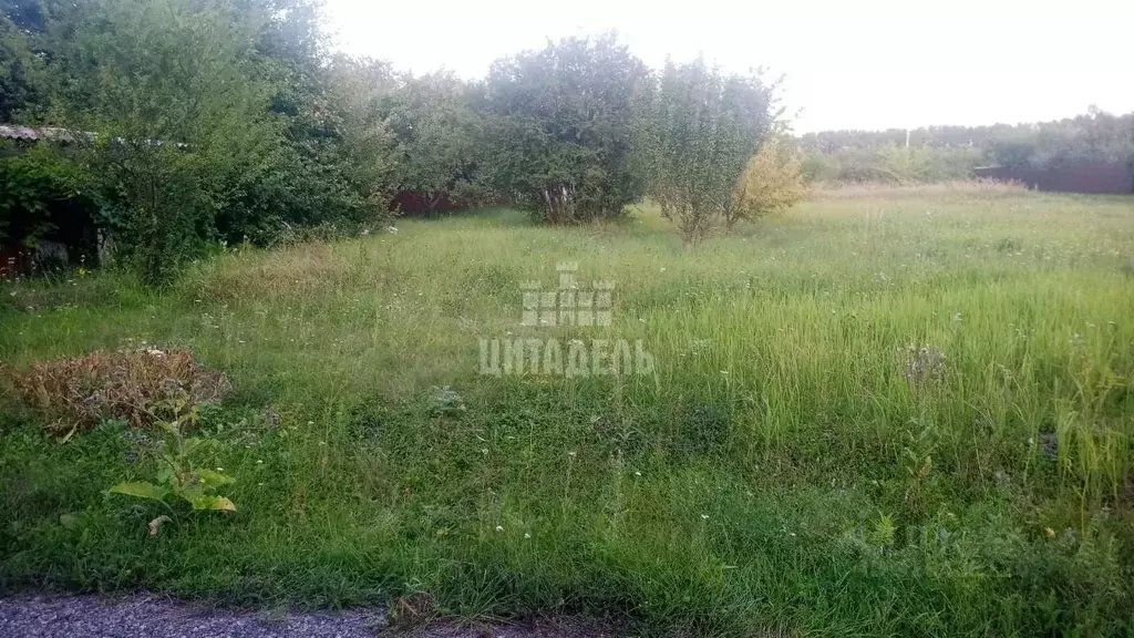 Участок в Воронежская область, Панинский район, Краснолиманское с/пос, ... - Фото 2