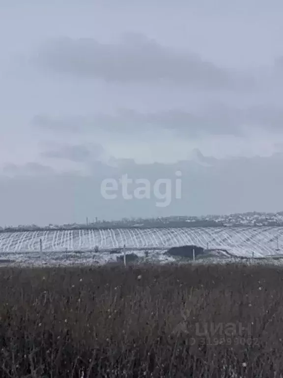 Участок в Белгородская область, Белгородский район, Головинское с/пос, ... - Фото 1