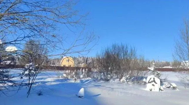 Участок в Московская область, Щелково городской округ, д. Новопареево  ... - Фото 2