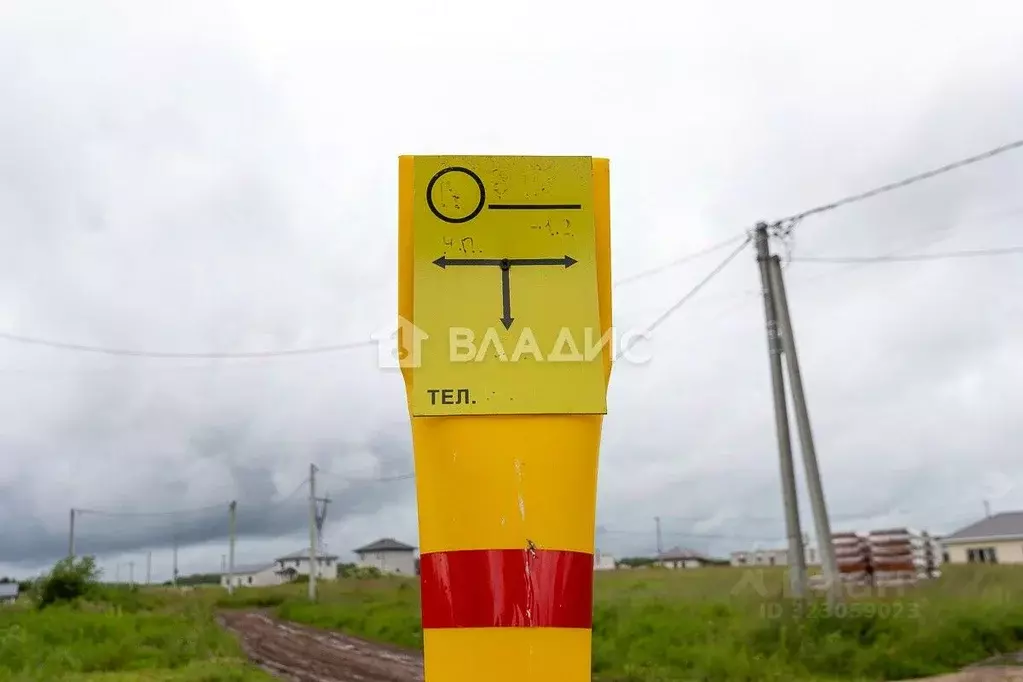 Участок в Владимирская область, Суздальский район, Новоалександровское ... - Фото 1