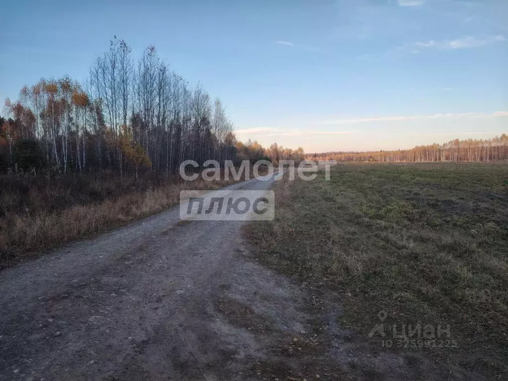 Участок в Тюменская область, Тюменский муниципальный округ, д. Чаплык ... - Фото 1