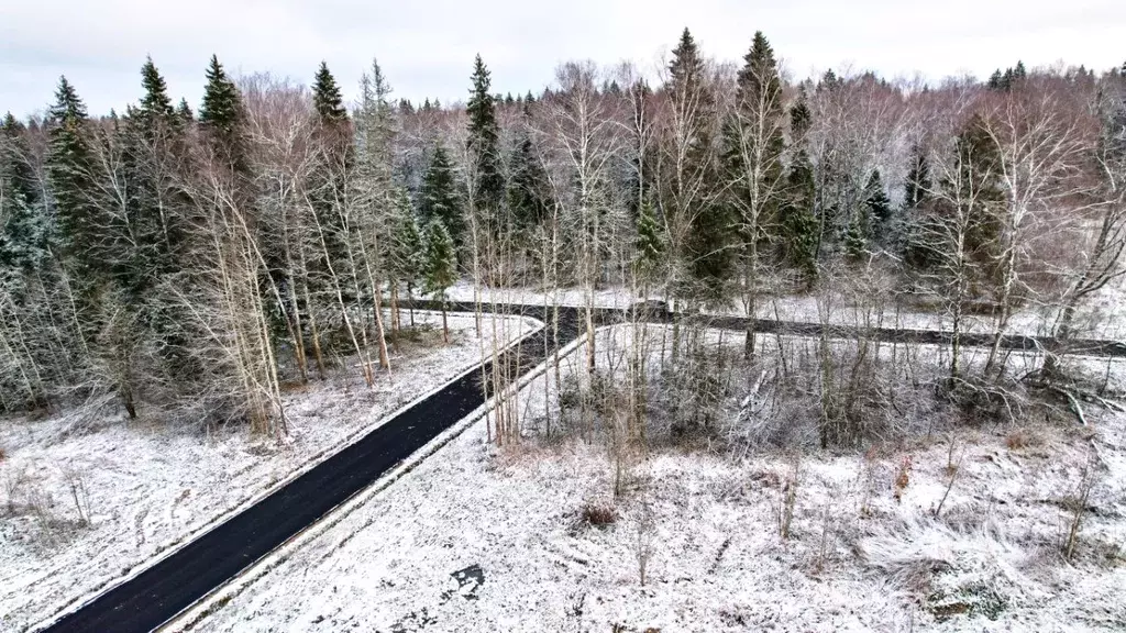Участок в Московская область, Дмитровский муниципальный округ, ... - Фото 2