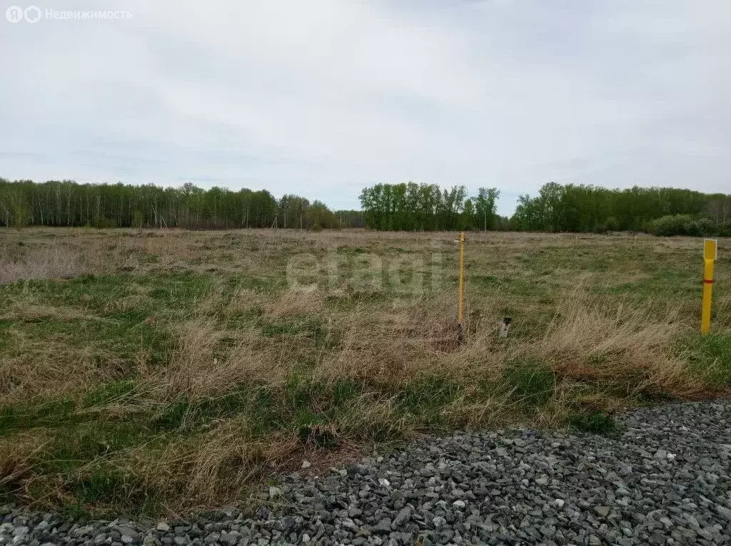 Участок в Ялуторовский район, село Сингуль Татарский (12 м) - Фото 1