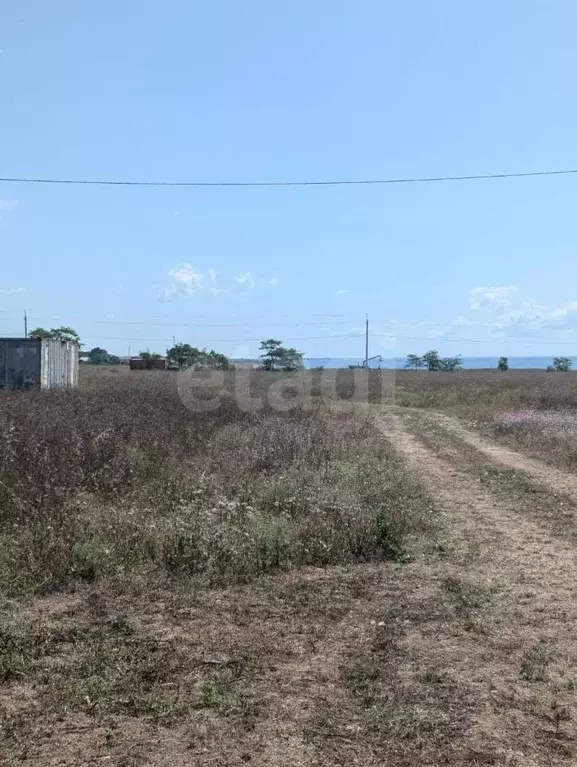 Участок в Крым, Черноморский район, с. Окуневка ул. Героев СВО (6.0 ... - Фото 1