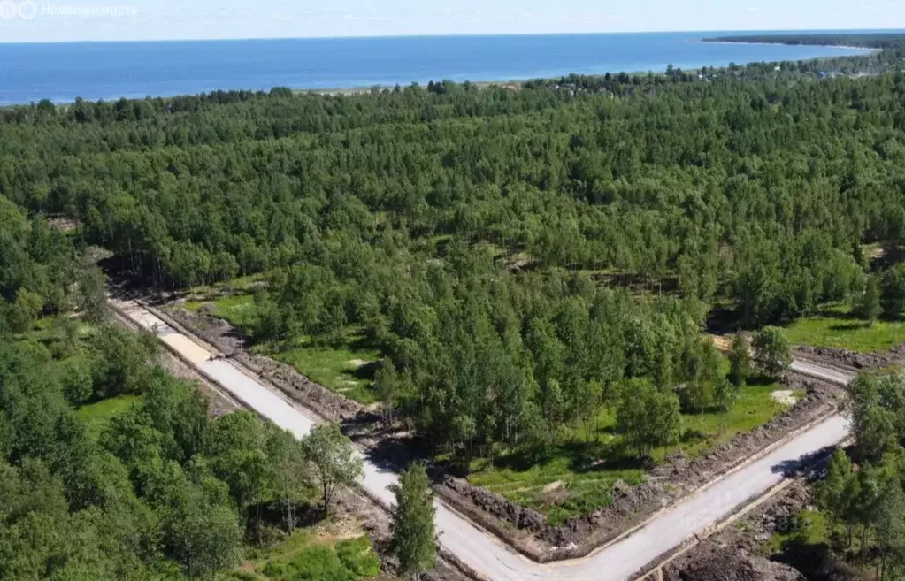 Участок в Ленинградская область, Всеволожский район, Рахьинское ... - Фото 1