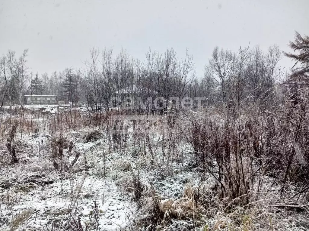 Участок в Сахалинская область, Анивский городской округ, с. Рыбацкое  ... - Фото 1