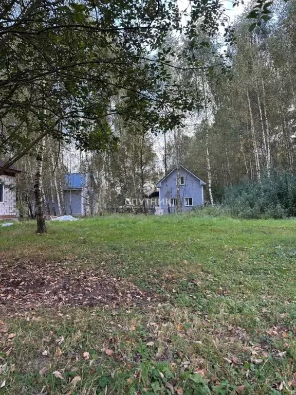 Участок в Московская область, Богородский городской округ, д. ... - Фото 2