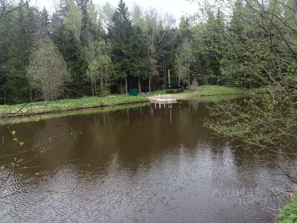 Участок в Московская область, Одинцовский городской округ, Виктория ... - Фото 1