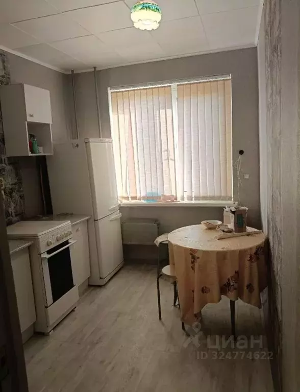 1-к кв. Ростовская область, Ростов-на-Дону Северный мкр, ул. Пацаева, ... - Фото 2