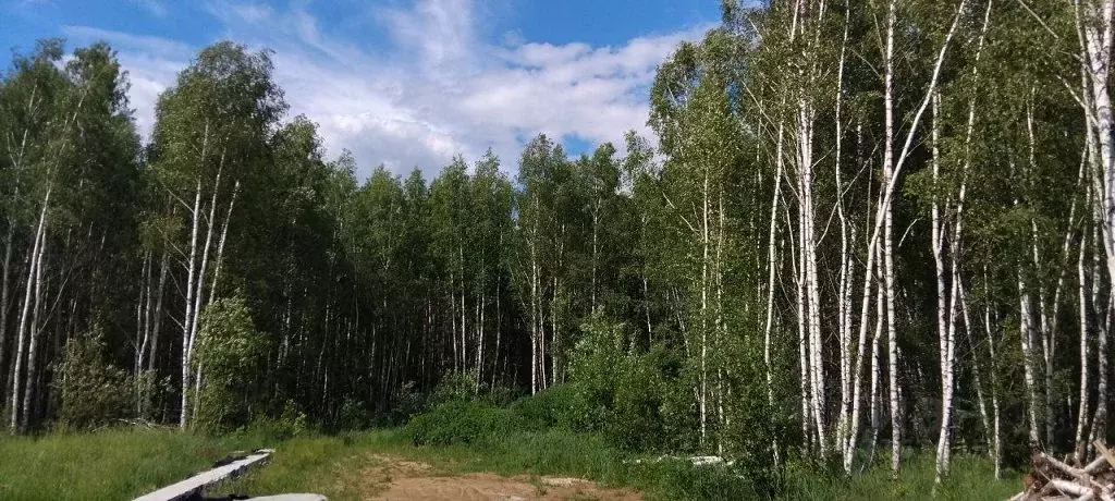 Участок в Московская область, Одинцовский городской округ, д. ... - Фото 1