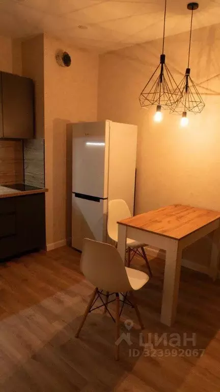 1-к кв. Нижегородская область, Нижний Новгород д. Анкудиновка, ул. ... - Фото 2