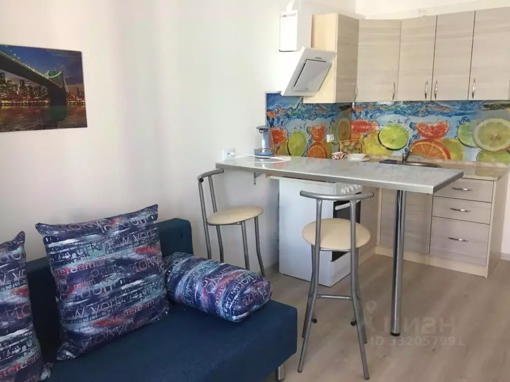 Студия Санкт-Петербург Парашютная ул., 42к2 (24.0 м) - Фото 2