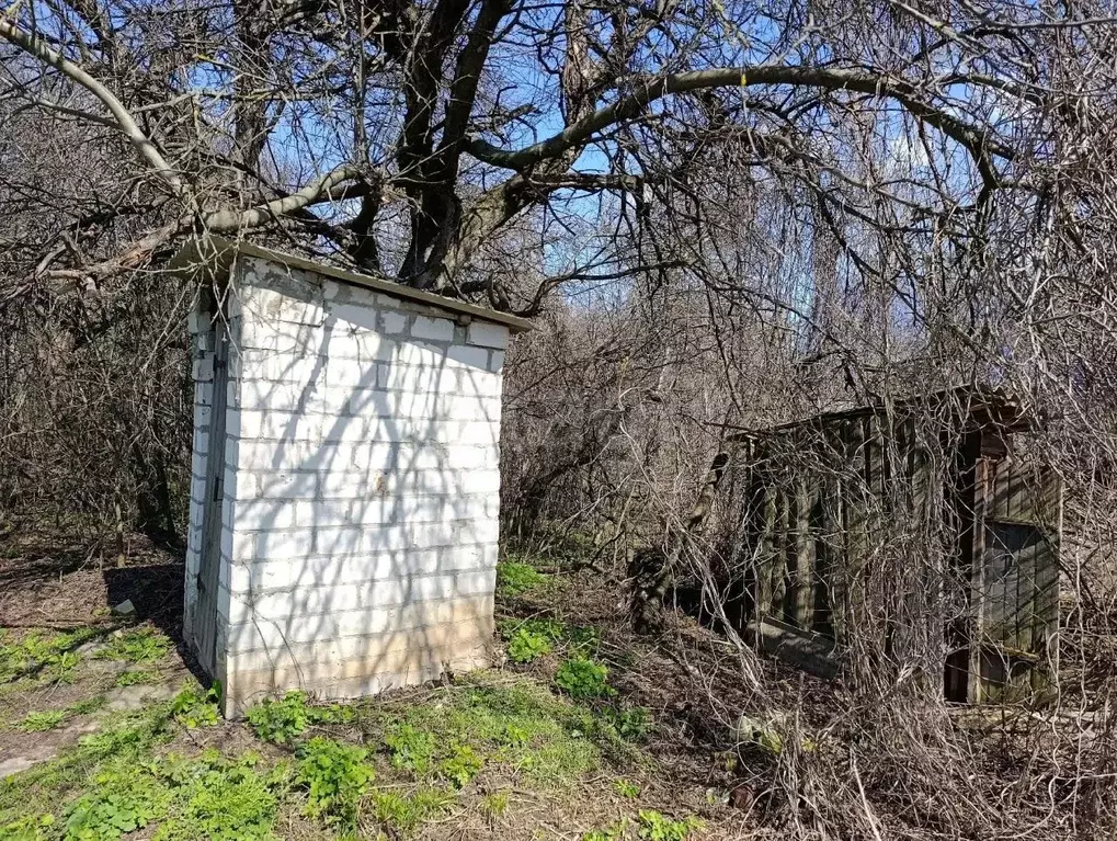 Дом в Белгородская область, Новооскольский муниципальный округ, с. ... - Фото 1