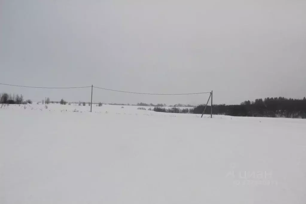 Участок в Московская область, Шаховская муниципальный округ, д. ... - Фото 1