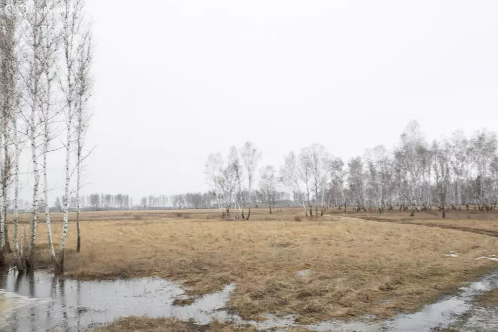 Участок в Искитимский район, деревня Бурмистрово (1020.2 м) - Фото 0