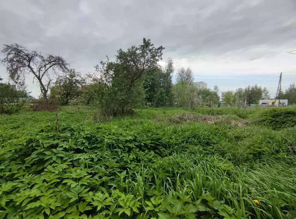 Участок в Московская область, Сергиево-Посадский городской округ, д. ... - Фото 1