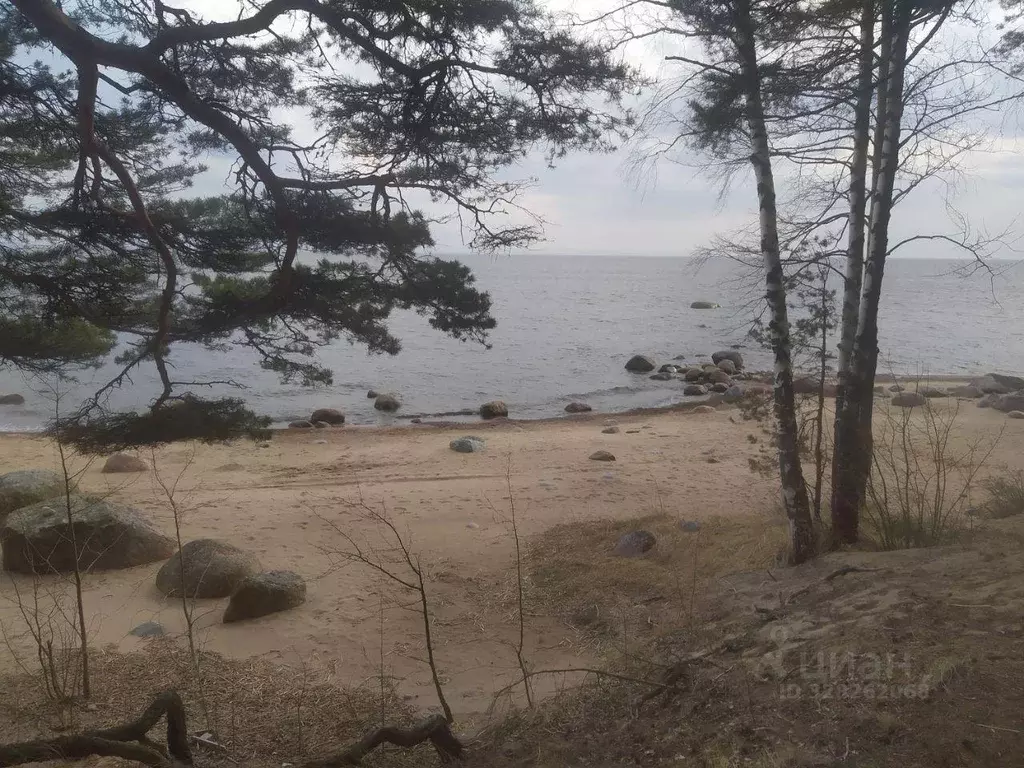 Участок, 8 сот., поселения (ижс) - Фото 1