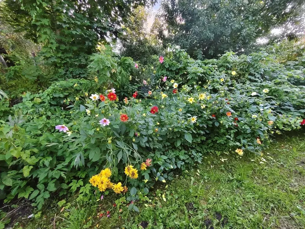 Дом в Тульская область, Тула городской округ, д. Раздолки ул. Верхняя, ... - Фото 1