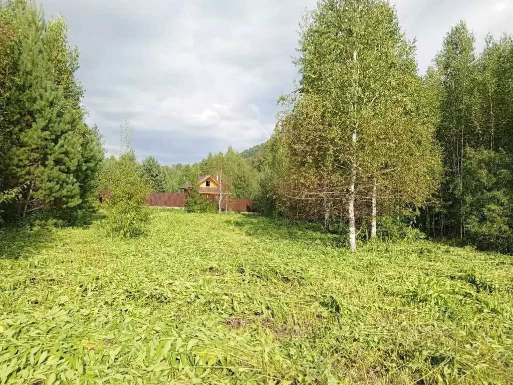 Участок в Алтай, Майминский район, Соузгинское с/пос, пос. Турбаза ... - Фото 0