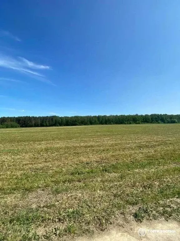 Производственное помещение в Белгородская область, Старооскольский ... - Фото 2