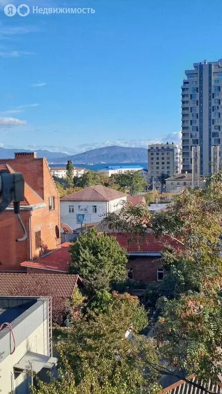 1-комнатная квартира: Новороссийск, улица Серова, 21 (31.6 м) - Фото 1