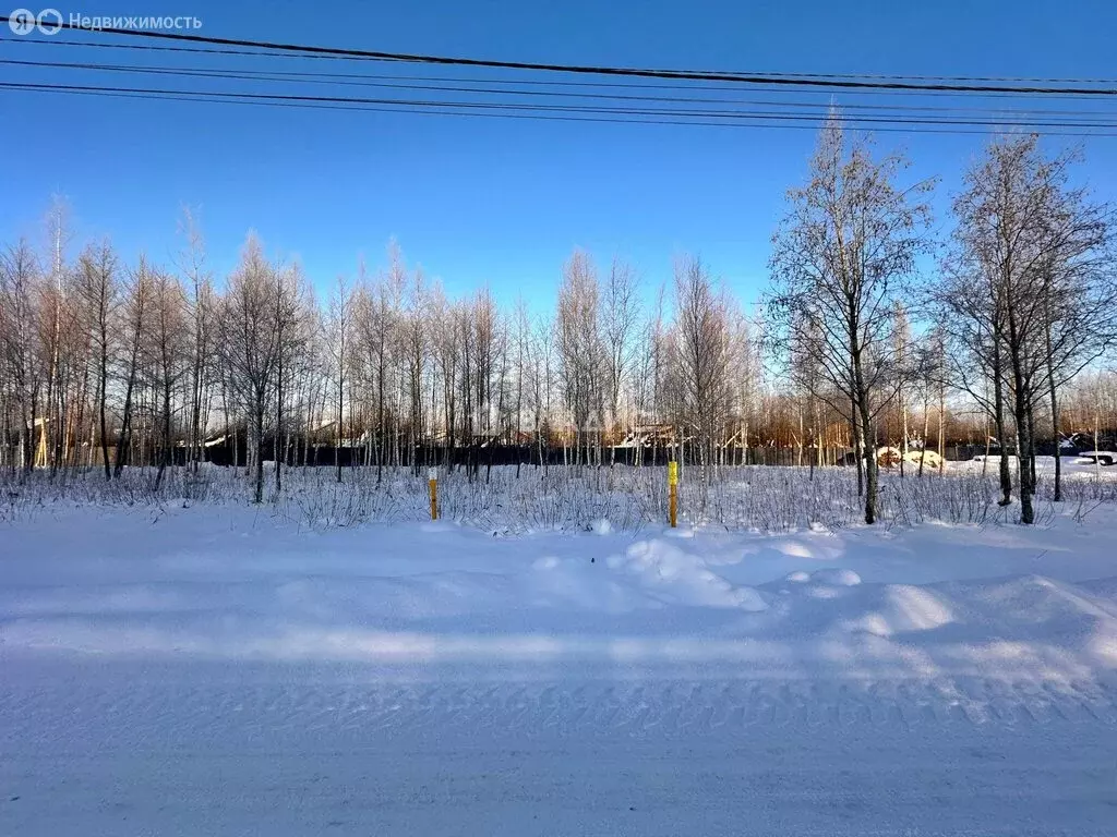 Участок в Павловск (8.7 м) - Фото 2