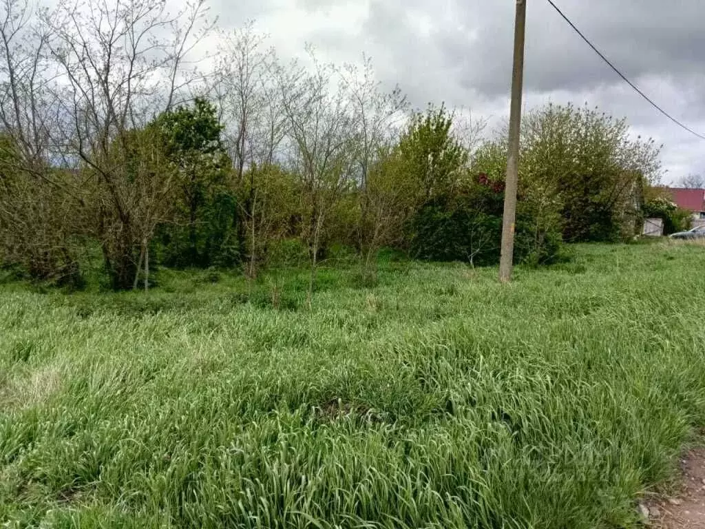 Участок в Краснодарский край, Кореновский район, Журавская ст-ца ... - Фото 2