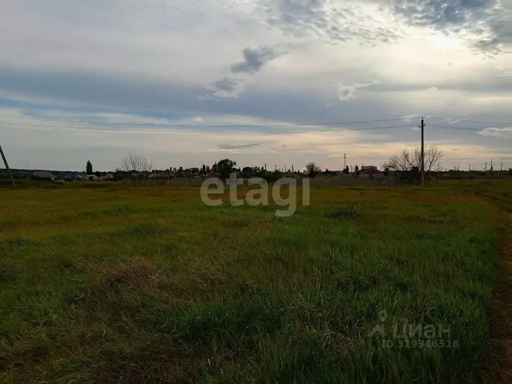 Участок в Воронежская область, Борисоглебский городской округ, с. ... - Фото 1