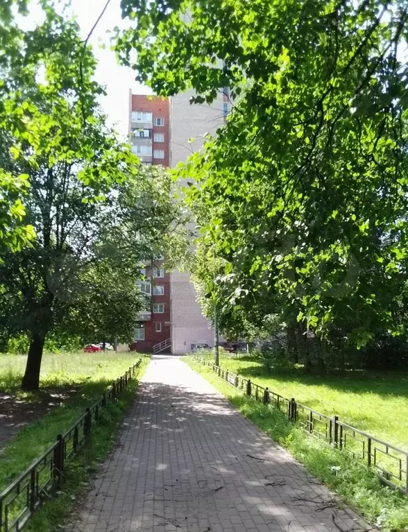 Комната 12 м в 6-к., 15/15 эт. - Фото 1