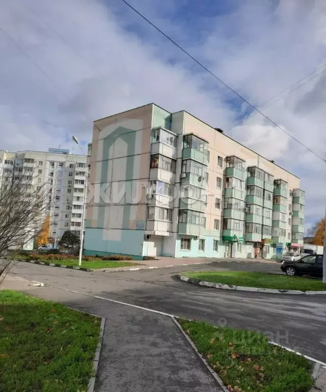 Студия Белгородская область, Белгород Молодежная ул., 14 (20.0 м) - Фото 1