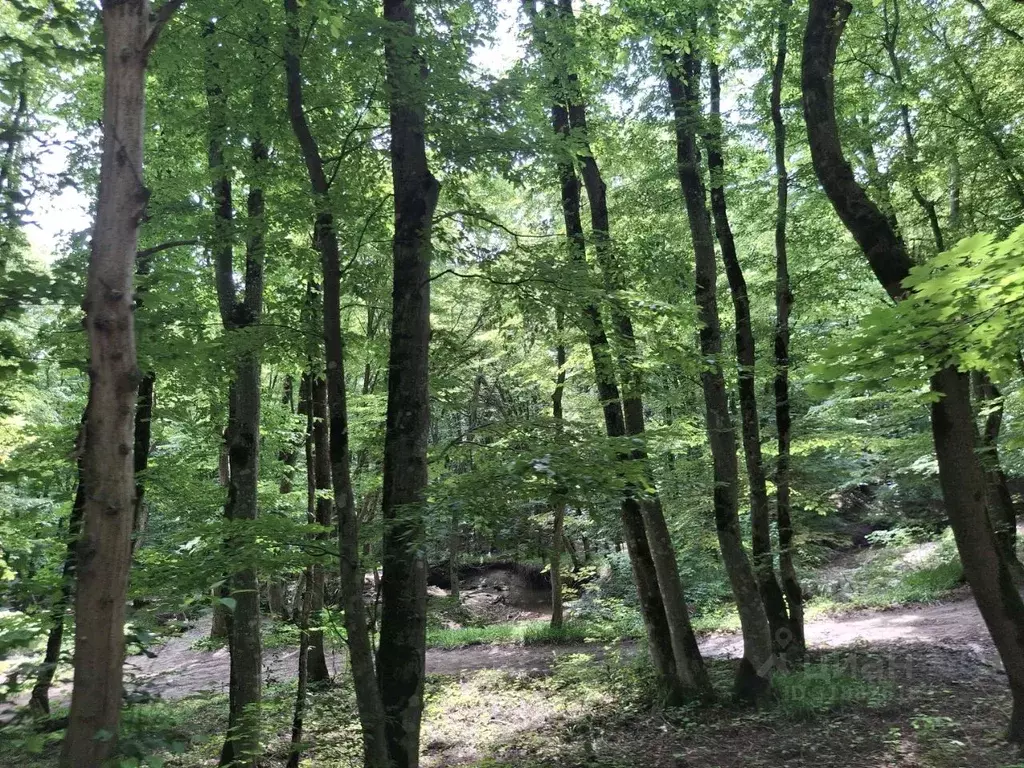 Дом в Ставропольский край, Шпаковский муниципальный округ, Грушевый ... - Фото 0